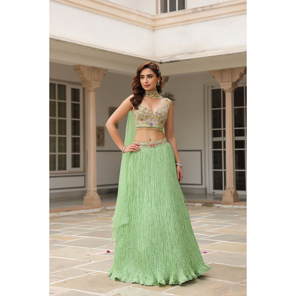 Label Niti Bothra Gulzar Embroidered Blouse with Lehenga and Dupatta (Set of 3)