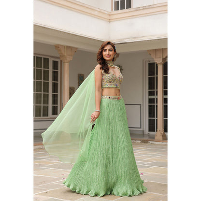 Label Niti Bothra Gulzar Embroidered Blouse with Lehenga and Dupatta (Set of 3)