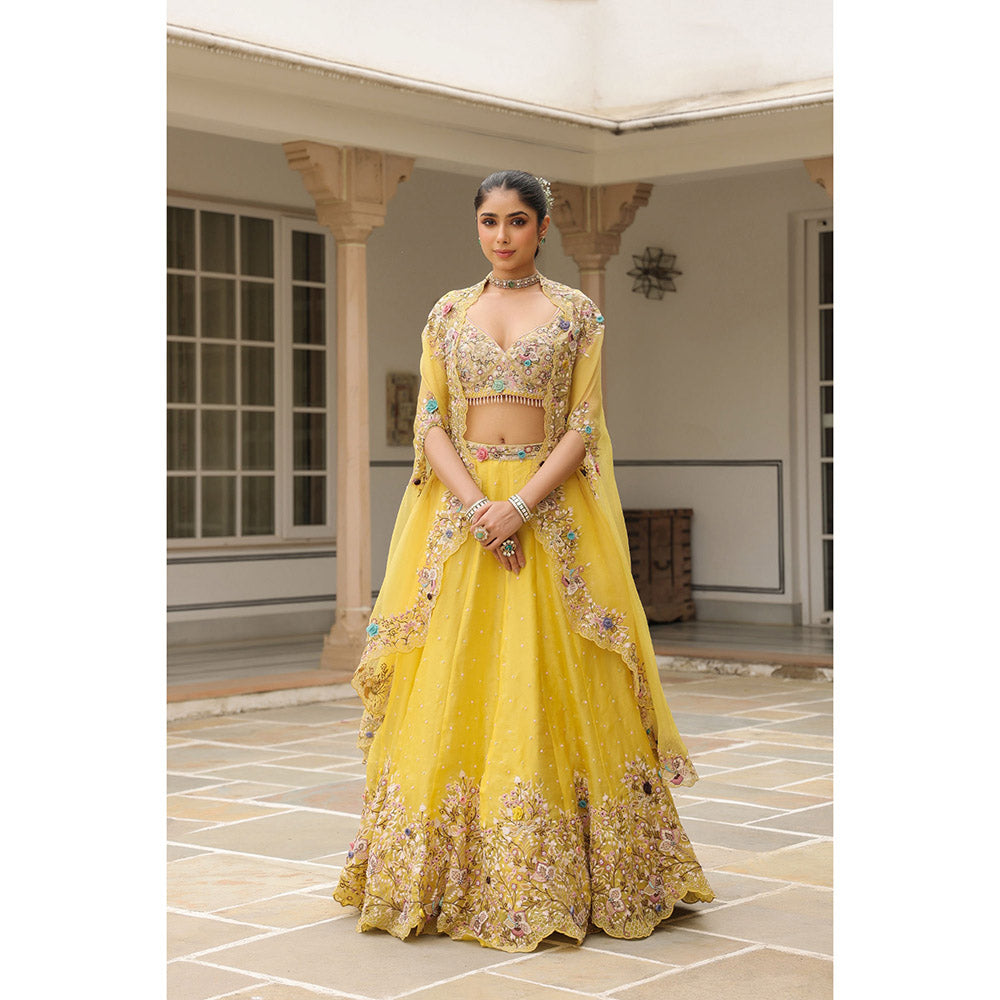 Label Niti Bothra Yellow Gulzar Embroidered Blouse with Lehenga and Cape (Set of 3)