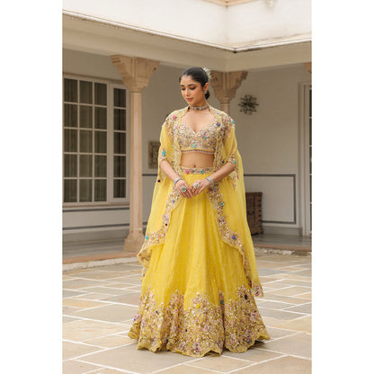 Label Niti Bothra Yellow Gulzar Embroidered Blouse with Lehenga and Cape (Set of 3)