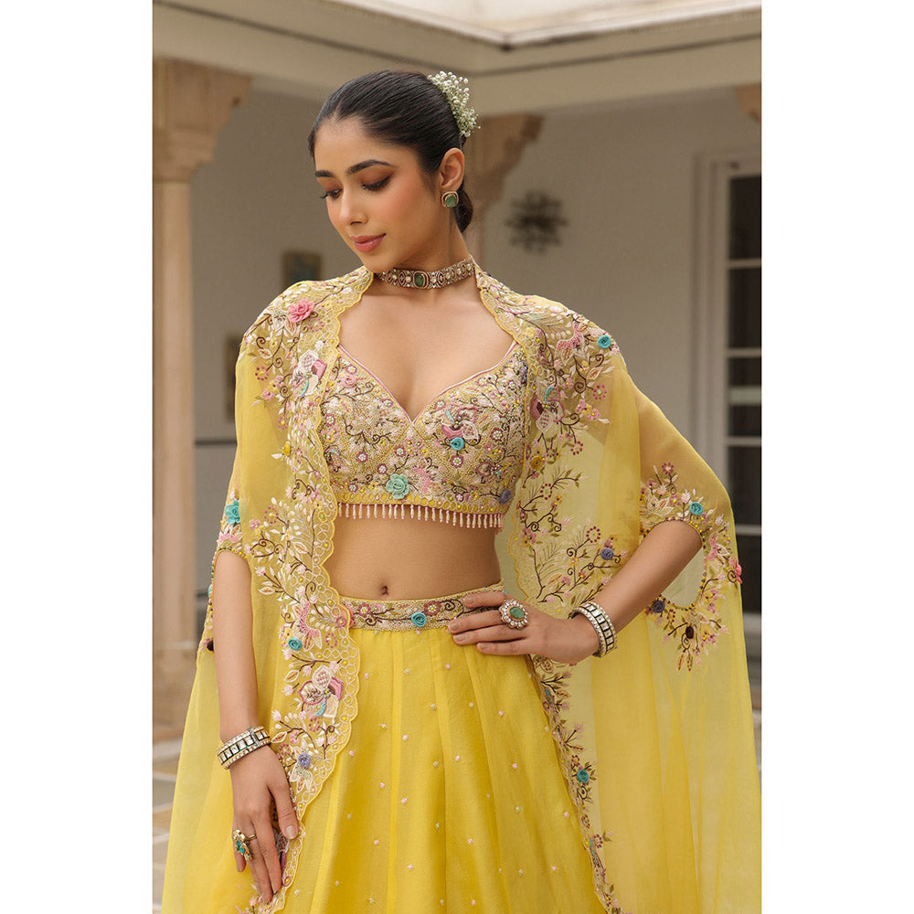 Label Niti Bothra Yellow Gulzar Embroidered Blouse with Lehenga and Cape (Set of 3)
