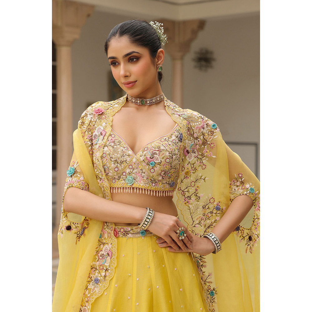 Label Niti Bothra Yellow Gulzar Embroidered Blouse with Lehenga and Cape (Set of 3)