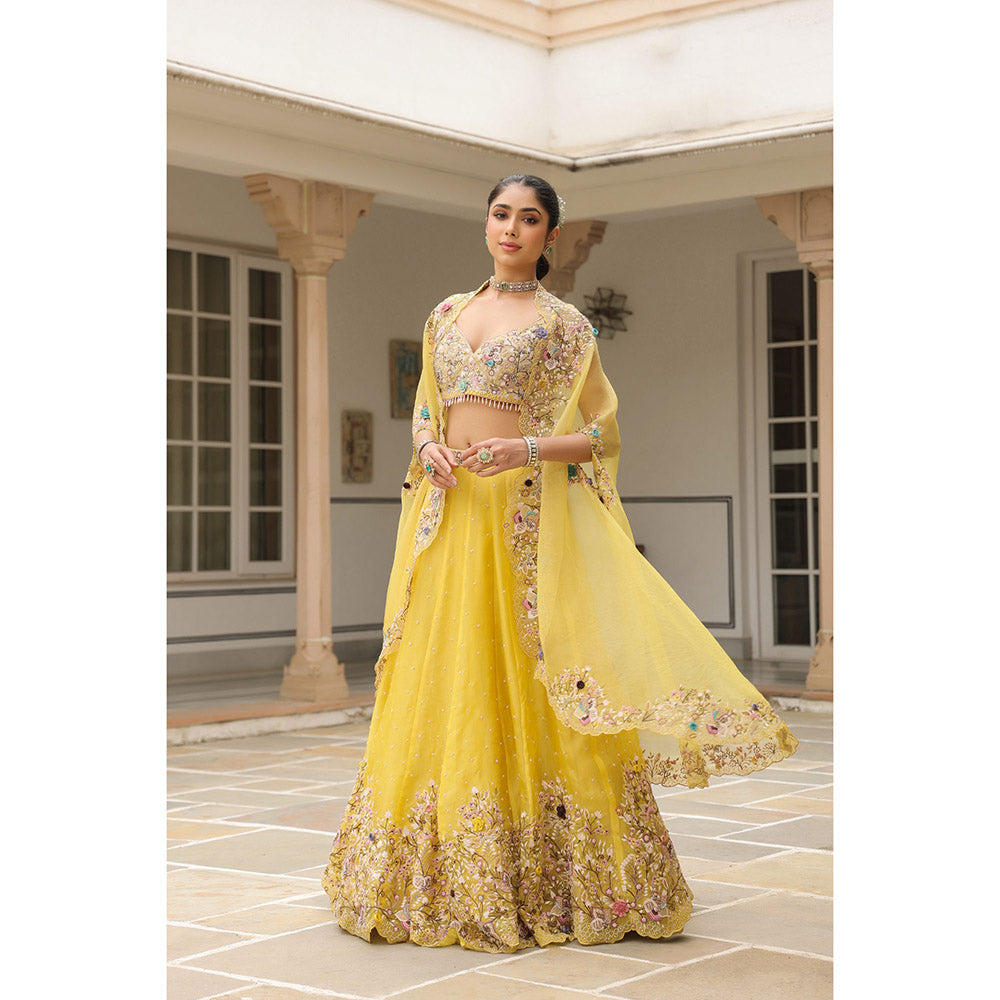 Label Niti Bothra Yellow Gulzar Embroidered Blouse with Lehenga and Cape (Set of 3)