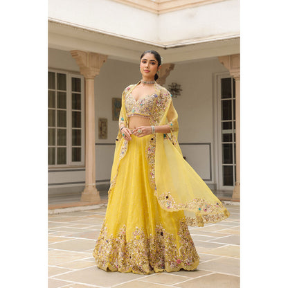Label Niti Bothra Yellow Gulzar Embroidered Blouse with Lehenga and Cape (Set of 3)