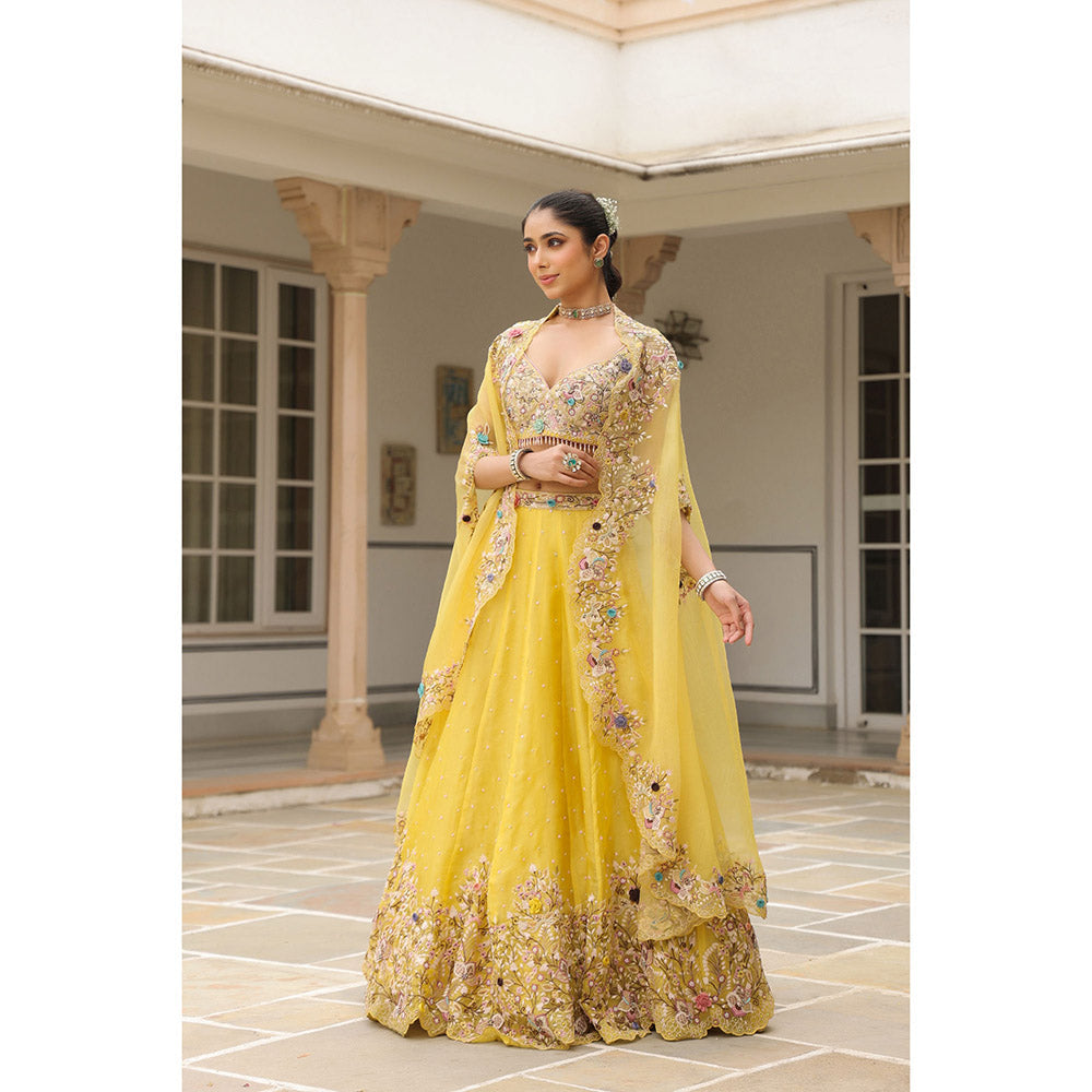 Label Niti Bothra Yellow Gulzar Embroidered Blouse with Lehenga and Cape (Set of 3)
