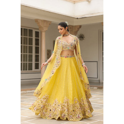 Label Niti Bothra Yellow Gulzar Embroidered Blouse with Lehenga and Cape (Set of 3)