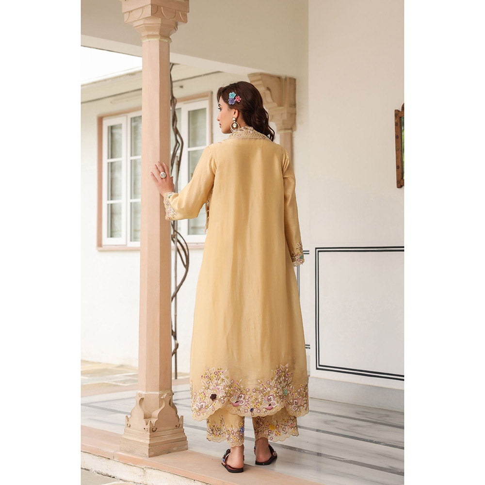 Label Niti Bothra Gulzar Heavy Jacket with Kurta and Pant (Set of 3)