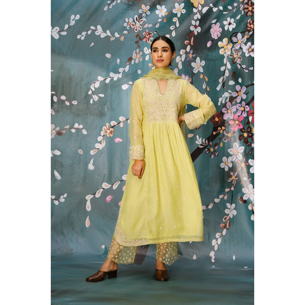 Label Niti Bothra Mint Green Dori Embroidered Frock Style Kurta With Palazzo