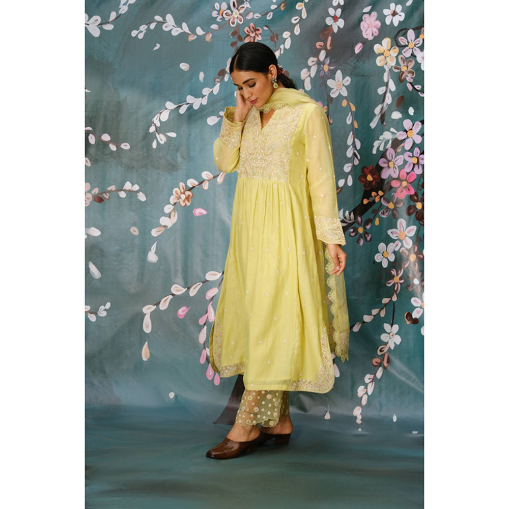 Label Niti Bothra Mint Green Dori Embroidered Frock Style Kurta With Palazzo