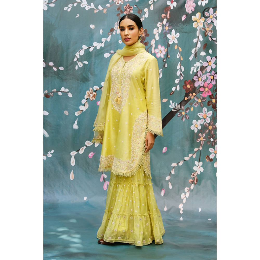 Label Niti Bothra Mint Green Dori Embroidered Kurta With Sharara And Dupatta