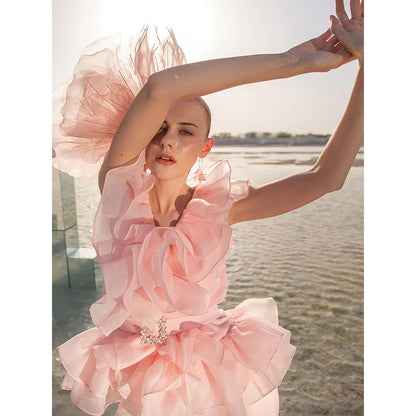 Label Iris Blush Pink Organza Co-Ord (Set of 3)