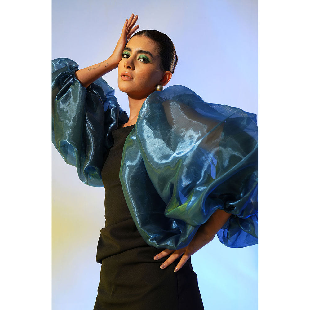 Label Iris Black & Blue Organza Sleeve Dress