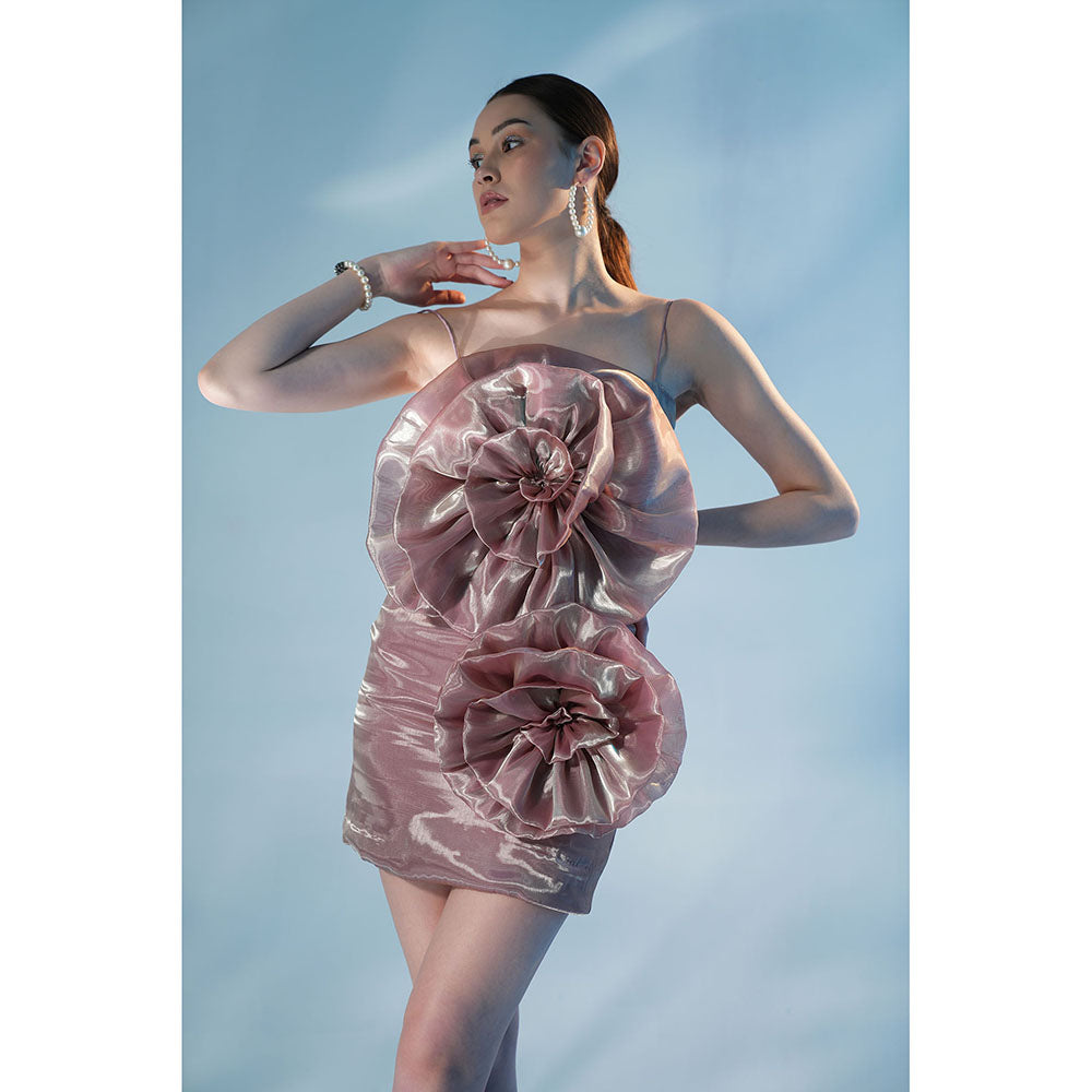 Label Iris Metallic Champagne Dress