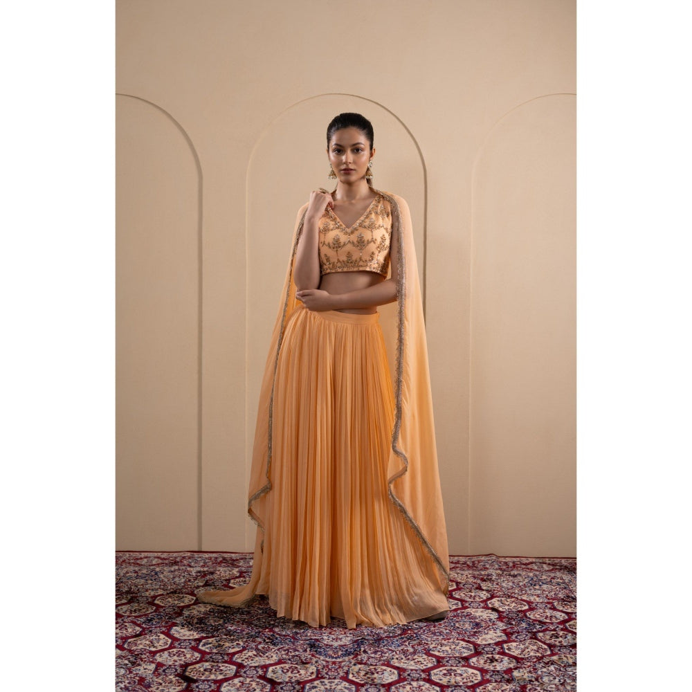 LABEL TANYA CHOPRA Peach Georgette Blouse and Lehenga with Dupatta (Set of 3)