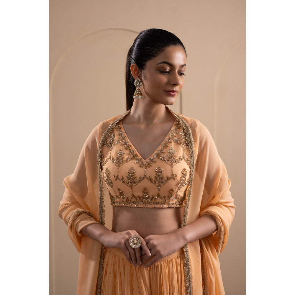 LABEL TANYA CHOPRA Peach Georgette Blouse and Lehenga with Dupatta (Set of 3)
