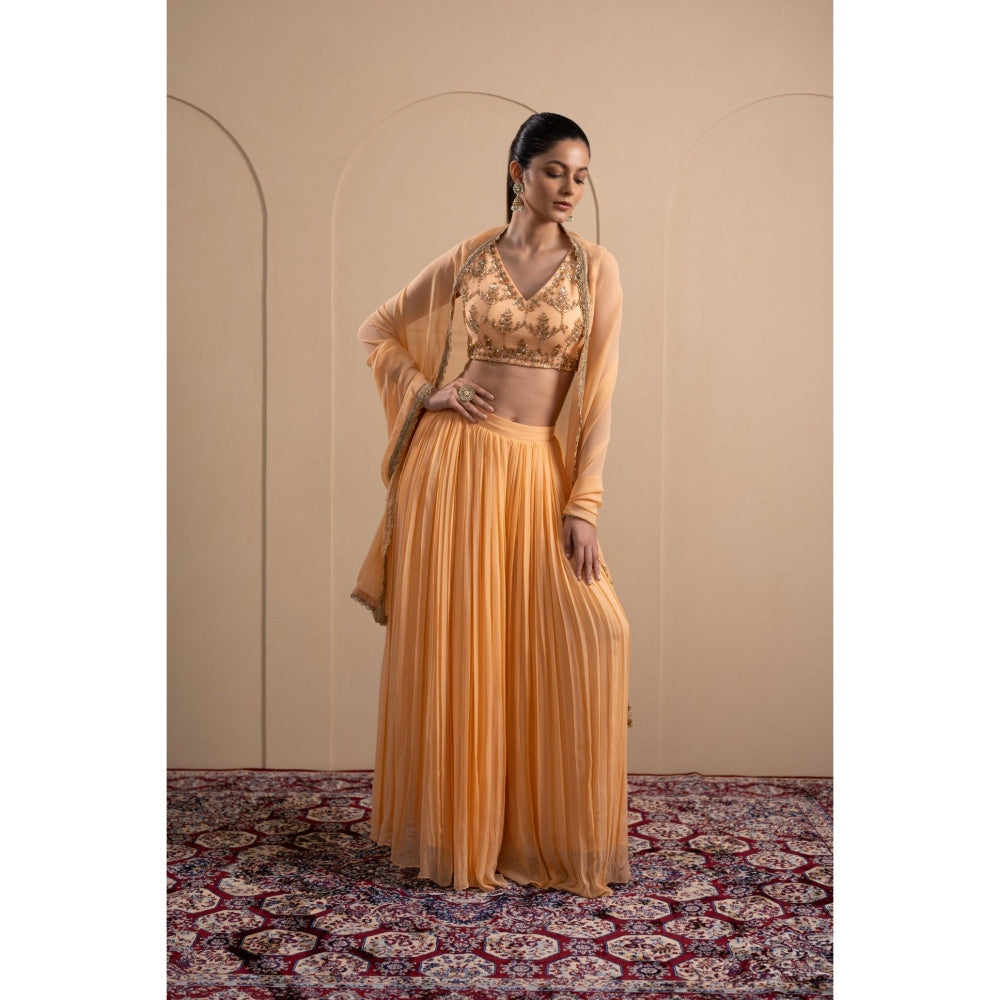 LABEL TANYA CHOPRA Peach Georgette Blouse and Lehenga with Dupatta (Set of 3)