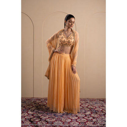 LABEL TANYA CHOPRA Peach Georgette Blouse and Lehenga with Dupatta (Set of 3)