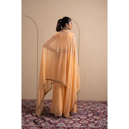 LABEL TANYA CHOPRA Peach Georgette Blouse and Lehenga with Dupatta (Set of 3)