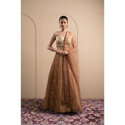 LABEL TANYA CHOPRA Bronze Net Embellished Blouse and Lehenga with Dupatta (Set of 3)