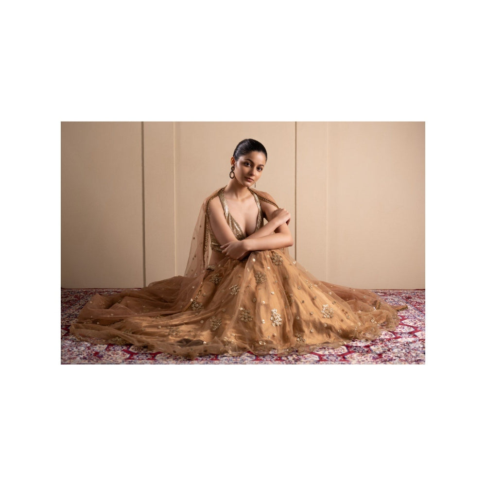 LABEL TANYA CHOPRA Bronze Net Embellished Blouse and Lehenga with Dupatta (Set of 3)