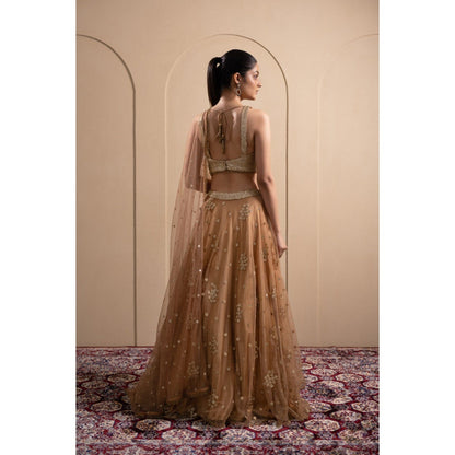 LABEL TANYA CHOPRA Bronze Net Embellished Blouse and Lehenga with Dupatta (Set of 3)