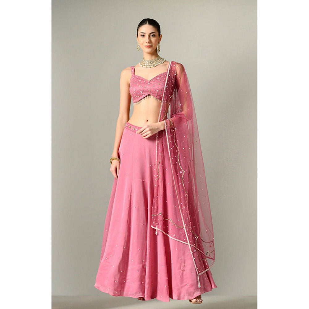 Sunanta Madaan Mauve Lehenga Choli with Dupatta