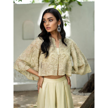 LABEL RUHBAB Beige Crop Jacket with Tube Top and Palazzo (Set of 3)