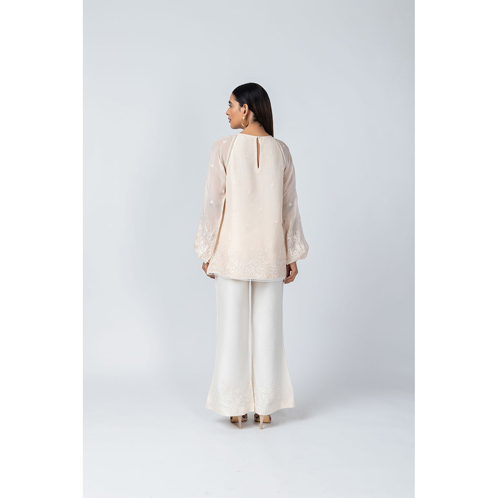 LABEL NAARITI Arzoo Beige and White Top with Pant (Set of 2)