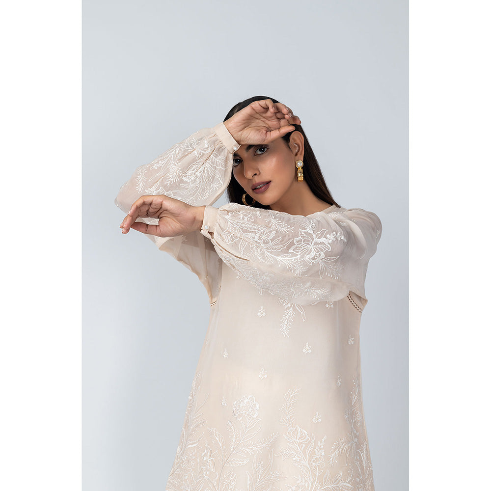 LABEL NAARITI Arzoo Beige and White Top with Pant (Set of 2)