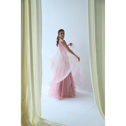 LABEL NAARITI Pink Embroidered Amara Crop Top with Lehenga (Set of 2)