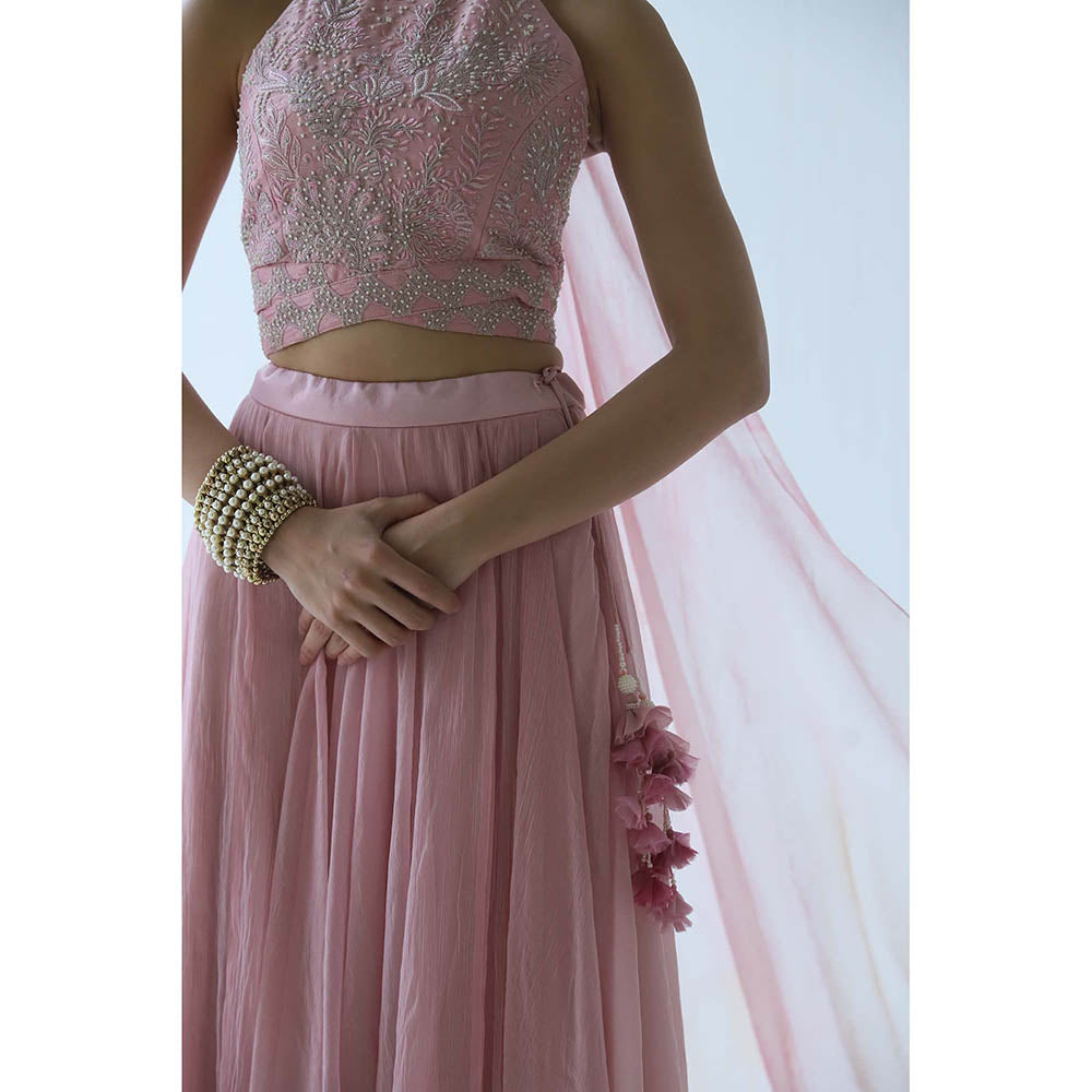 LABEL NAARITI Pink Embroidered Amara Crop Top with Lehenga (Set of 2)