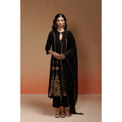 LABEL NAARITI Nisha Black Embroidered Anarkali Sets