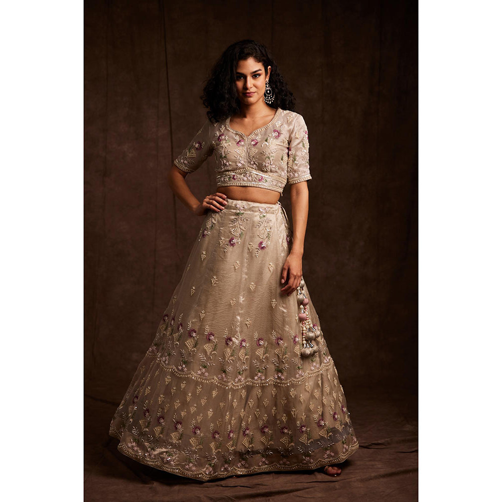 Label Gayatri Bishnoi Nude Sequin Lehenga with Blouse and Dupatta (Set of 3)