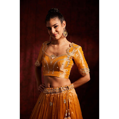 Label Gayatri Bishnoi Mustard Gota Patti Tissue Lehenga with Blouse and Dupatta (Set of 3)