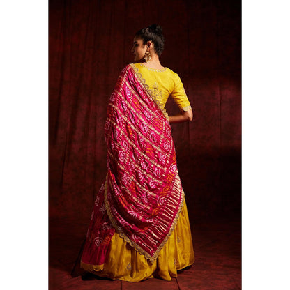 Label Gayatri Bishnoi Yellow Sunahra Gharchola Lehenga with Blouse and Dupatta (Set of 3)