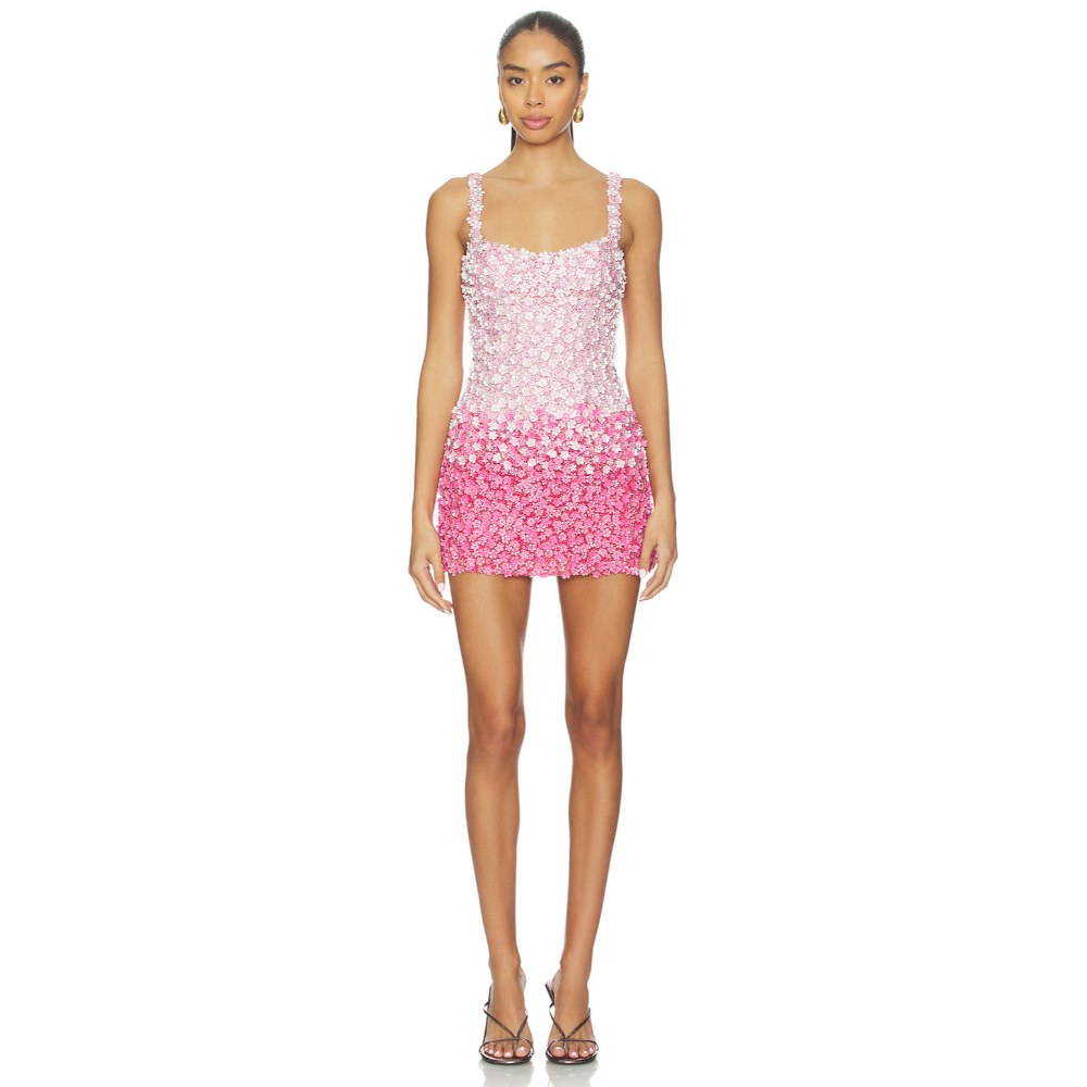 La Fuori Pink Petal Ombre Embroidered Dress