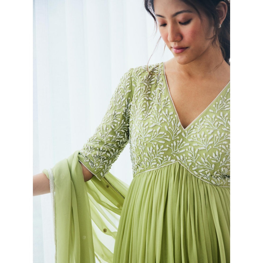 Lavanya Ahuja New Leaf Kurta and Sharara with Dupatta (Set of 3)