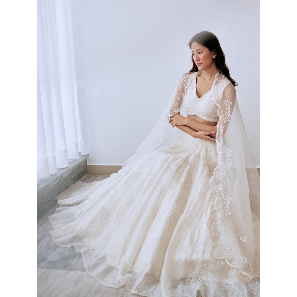 Lavanya Ahuja Ivory Organza Babys Breath Lehenga with Blouse and Dupatta (Set of 3)