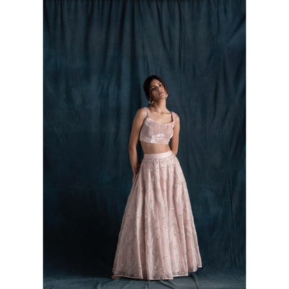 Lavanya Ahuja Blush Organza & Velvet Lehenga & Blouse with Dupatta (Set of 3)