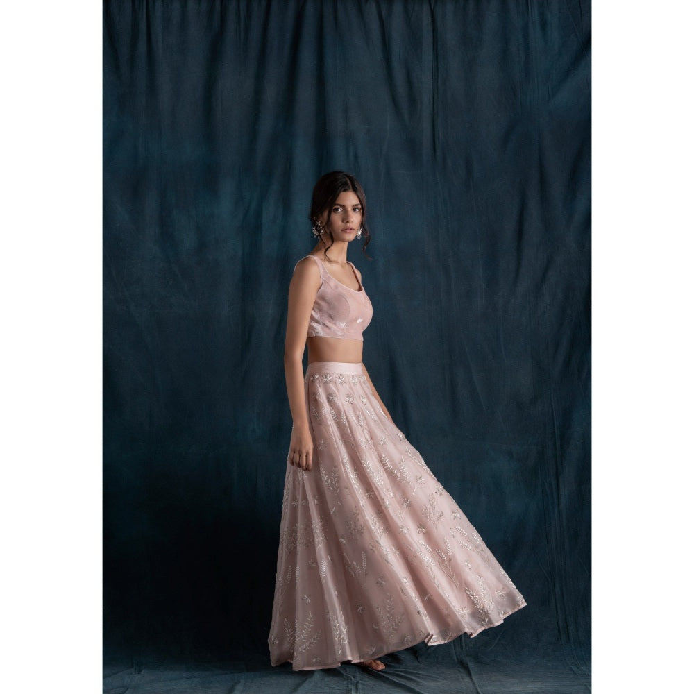 Lavanya Ahuja Blush Organza & Velvet Lehenga & Blouse with Dupatta (Set of 3)