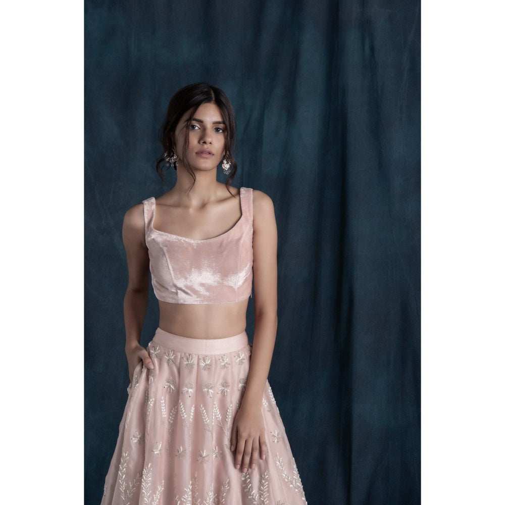 Lavanya Ahuja Blush Organza & Velvet Lehenga & Blouse with Dupatta (Set of 3)