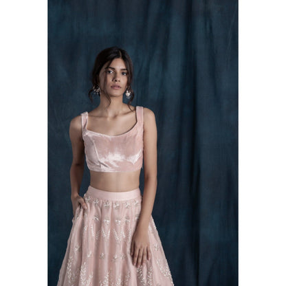 Lavanya Ahuja Blush Organza & Velvet Lehenga & Blouse with Dupatta (Set of 3)