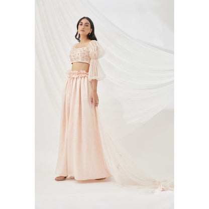 Lavanya Ahuja Blush Billow & Breeze Lehenga & Blouse with Dupatta (Set of 3)