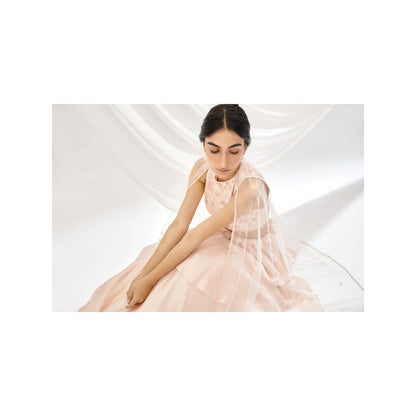 Lavanya Ahuja Blush Layered Lehenga & Blouse with Dupatta (Set of 3)