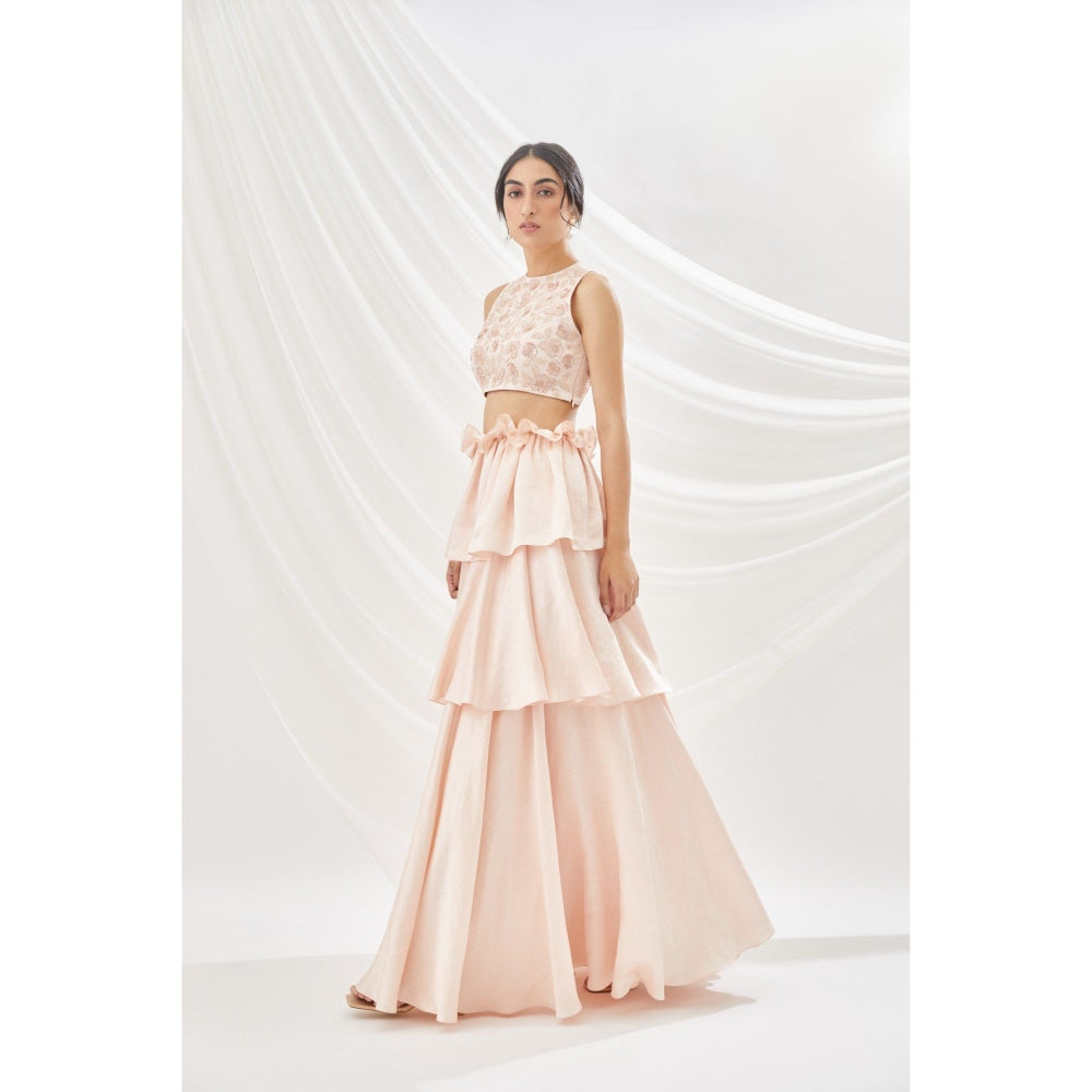 Lavanya Ahuja Blush Layered Lehenga & Blouse with Dupatta (Set of 3)