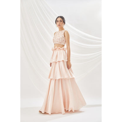 Lavanya Ahuja Blush Layered Lehenga & Blouse with Dupatta (Set of 3)