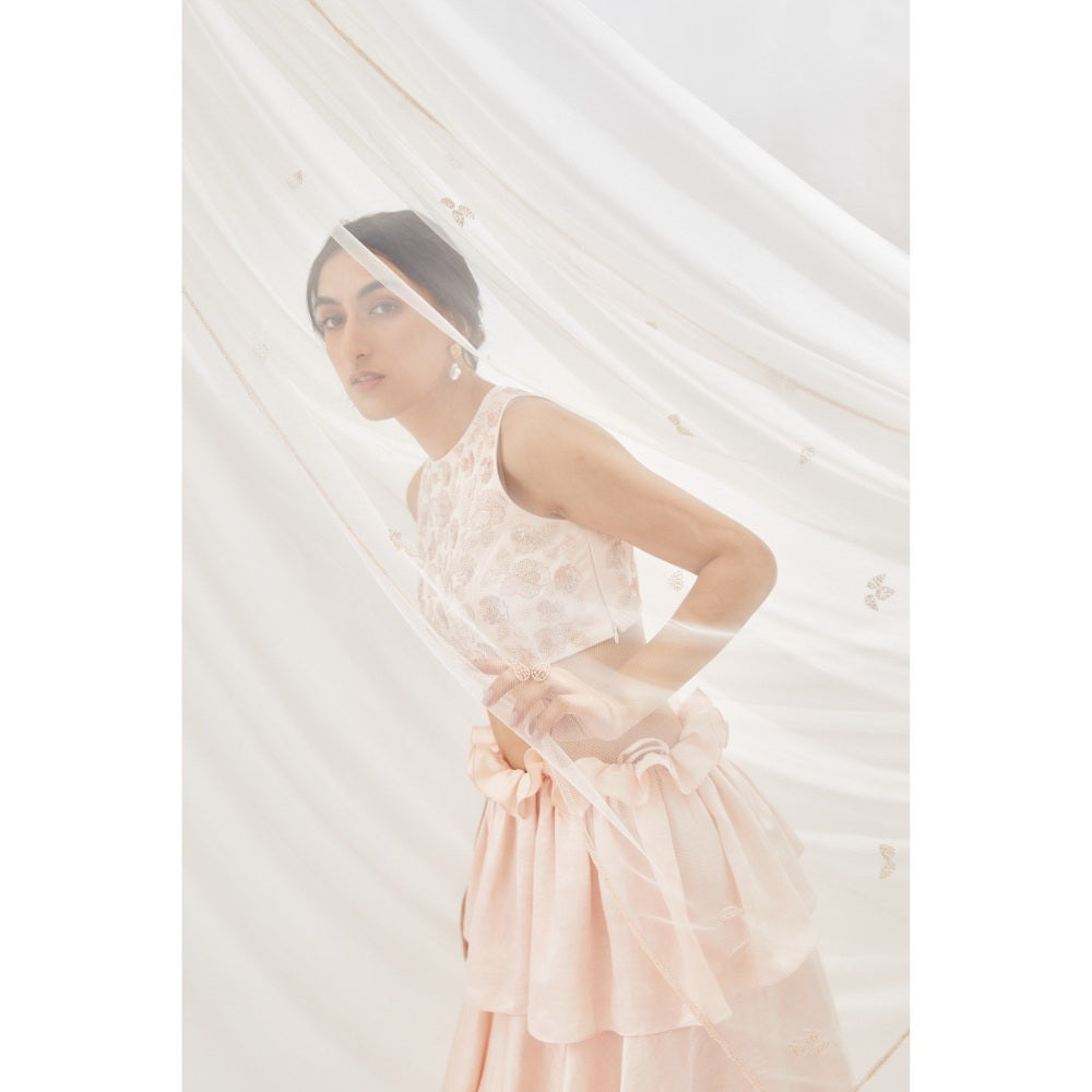 Lavanya Ahuja Blush Layered Lehenga & Blouse with Dupatta (Set of 3)