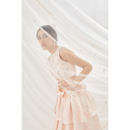 Lavanya Ahuja Blush Layered Lehenga & Blouse with Dupatta (Set of 3)