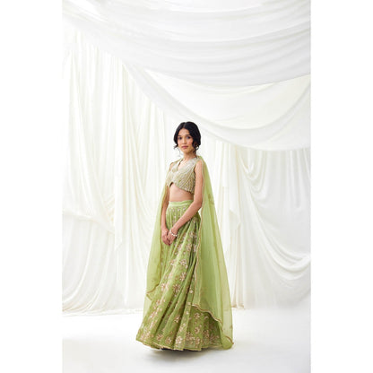 Lavanya Ahuja Green Embroidered Organza Lehenga with Blouse and Dupatta (Set of 3)
