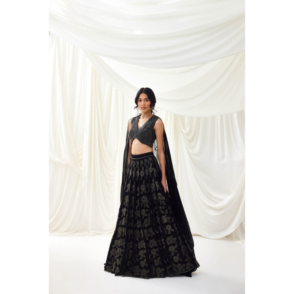 Lavanya Ahuja Black Embroidered Organza Lehenga with Blouse and Dupatta (Set of 3)